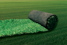 Gazon naturel en rouleaux, Les Pennes Mirabeau